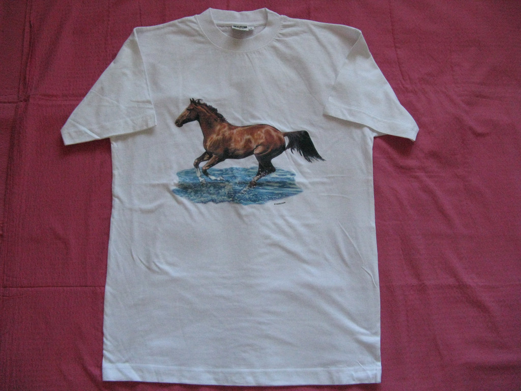 T-SHIRTHORSE RUNNING FAST-  UNFORGETTABLE GIFT- AMERICAN T-SHIRT PRINTED(CAT SLEEPING NEAR HAT) AMERICAN MOTIVE-TOP QUALITY-LOWEST PRICE GAURANTEE-DO NOT MISS THIS CHANCE-FREE HOME(POST OFFICE) DELIVERY-ART NO. 1979122655-REA 50%